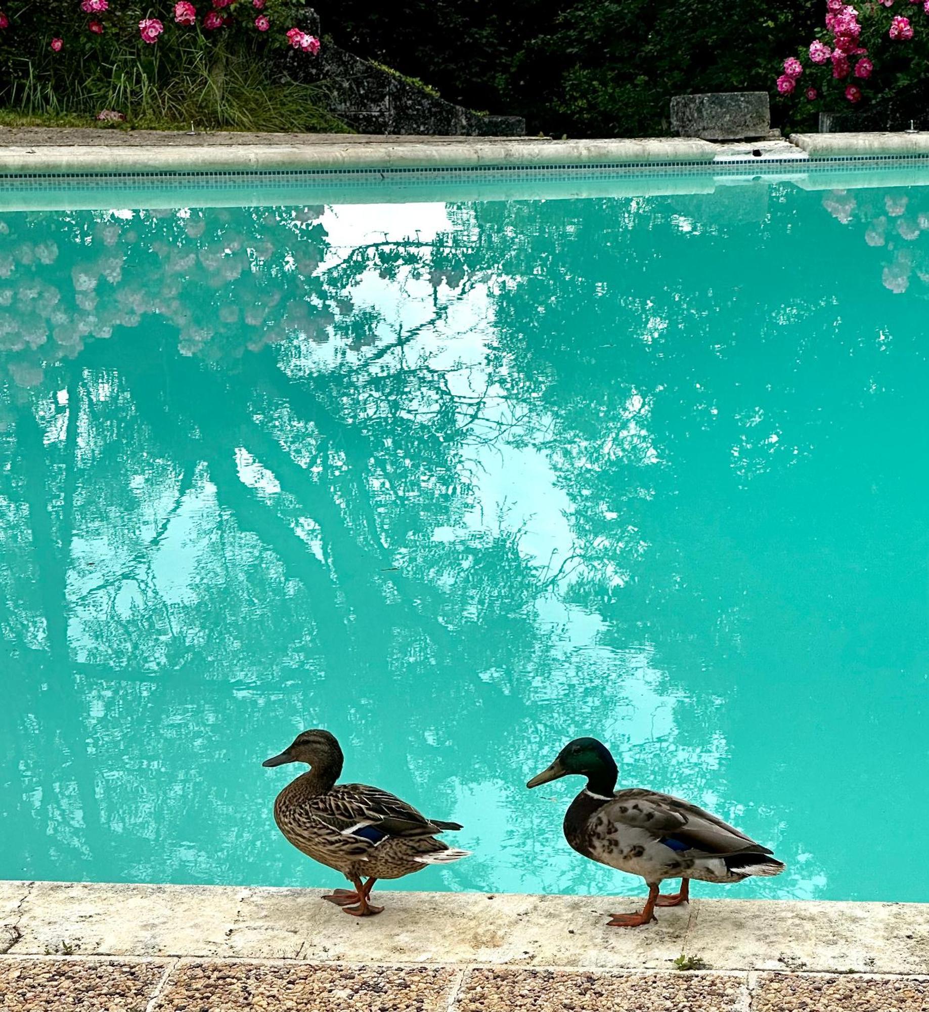 Le Chatenet 1689 Brantome Bagian luar foto